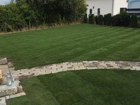 Ausgeführtes Gartenprojekt, Bild 60